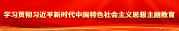 大屌肏骚屄视频学习贯彻习近平新时代中国特色社会主义思想主题教育